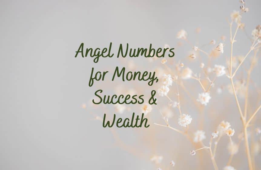 Best Angel Numbers for Money, Success & Wealth