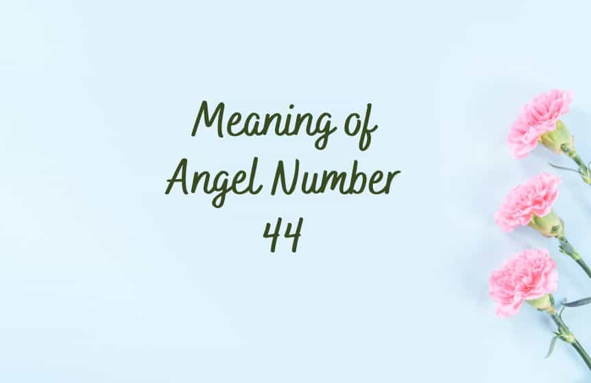 Meaning of Angel Number 44 in love, career, and bible