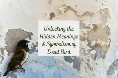 Unlocking the Hidden Meanings  & Symbolism of Dead Bird